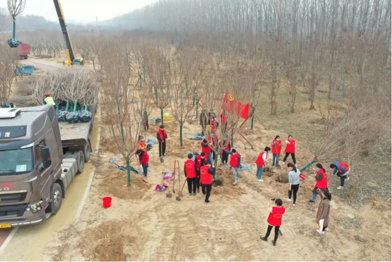 1648020035328327.png image.png